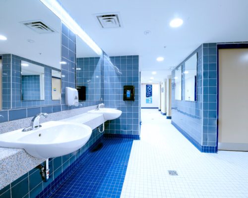 Scarborough+Bluffs+(1)