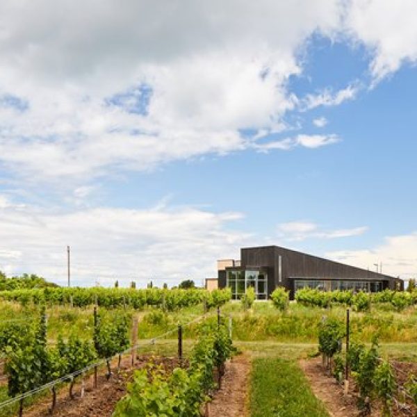 c_383_b4fffffb-1e0e-4395-8b54-6b5cc0be8845